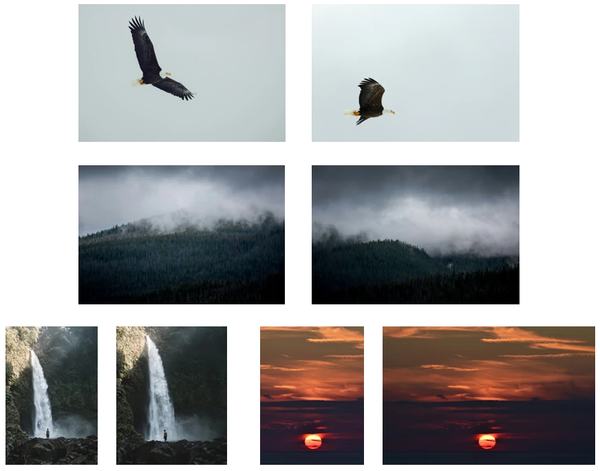 Review duplicates safely AI photo organizer feature demo