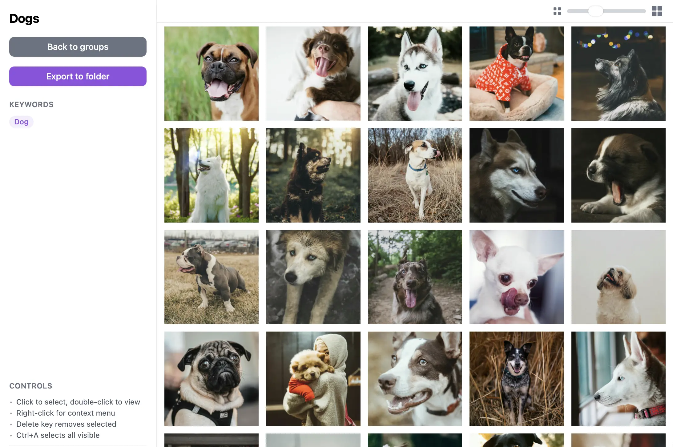 Groups, collections, and favorites AI photo organizer feature demo
